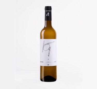 Pasaporte Viognier